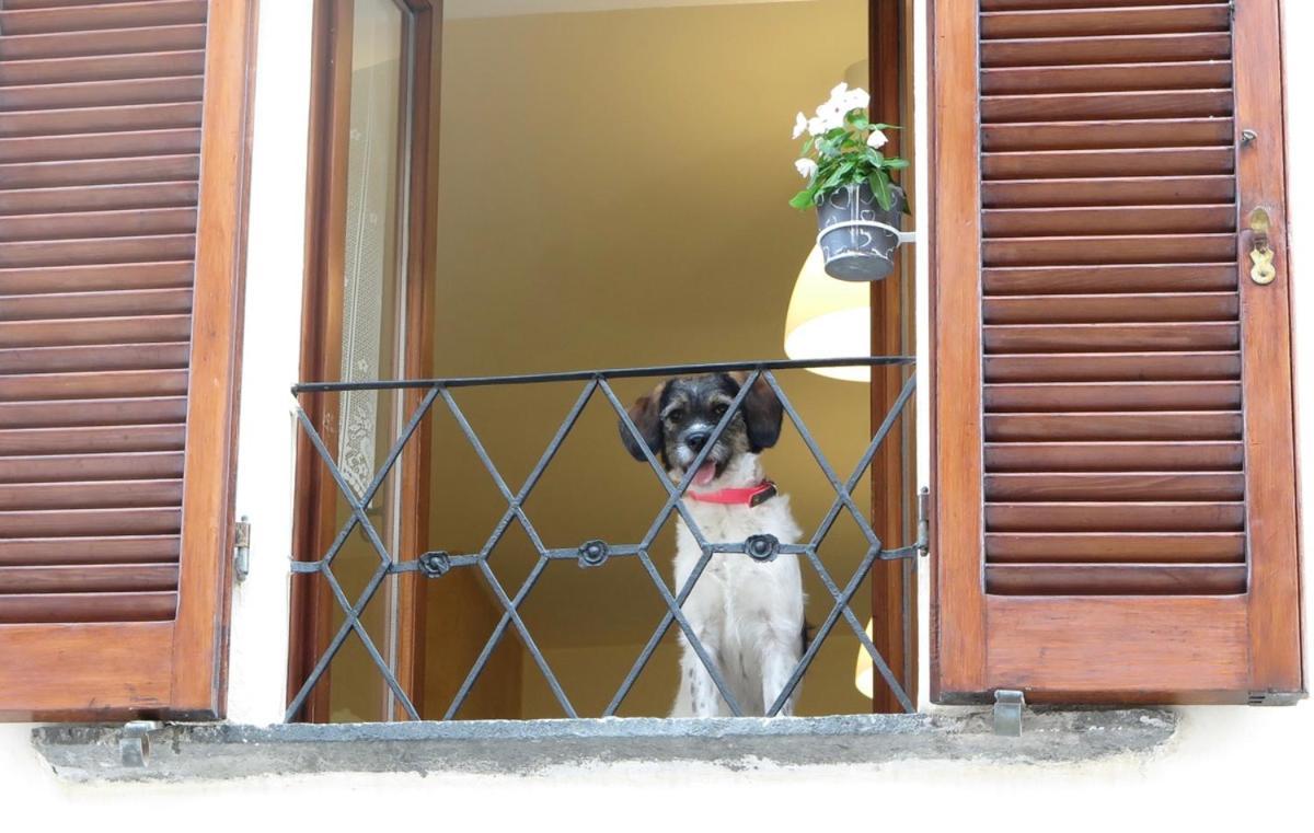 Domus Etrusca Orvieto Ngoại thất bức ảnh